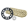 Primary Drive Aluminum Rear/Gold X-Ring Chain and Sprocket Kit #1021390293
