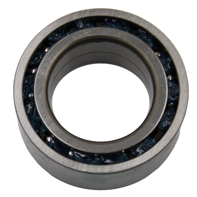 Arctic Cat 250 300 2X4 Rear differential bearing & seal kit