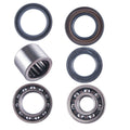 Honda TRX ATC 250R 250SX Rear Differential Bearing & Seal Kit  1985 - 1987