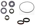 4XPRO Arctic Cat rear differential bearing and seal kit 219-507.01