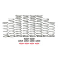 Polaris RZR Pro XP Dual Rate Spring Kit