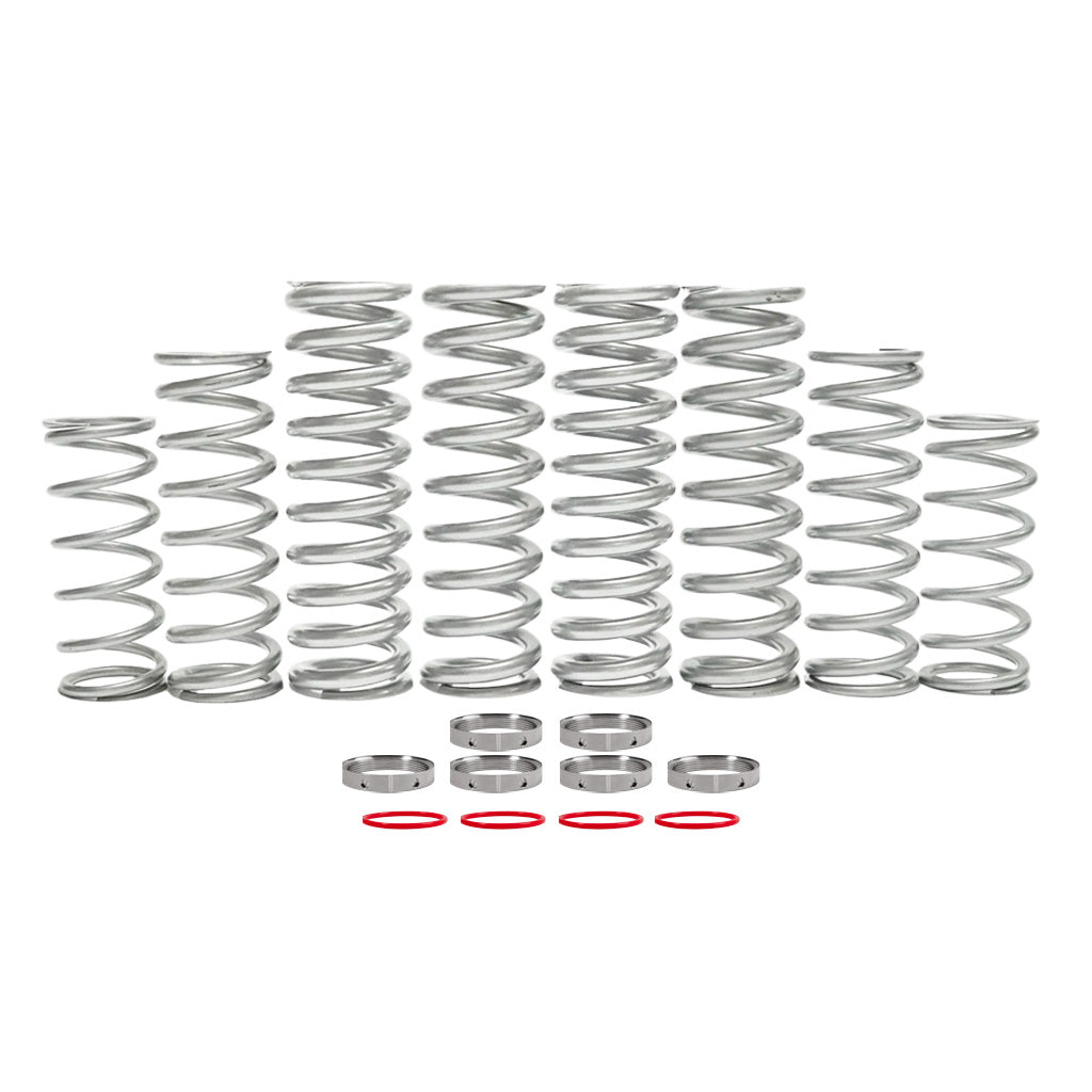 Polaris RZR Pro XP Dual Rate Spring Kit