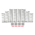 Polaris RZR Turbo S Dual Rate Spring Kit