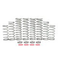 Polaris RZR XP 2024 Dual Rate Spring Kit