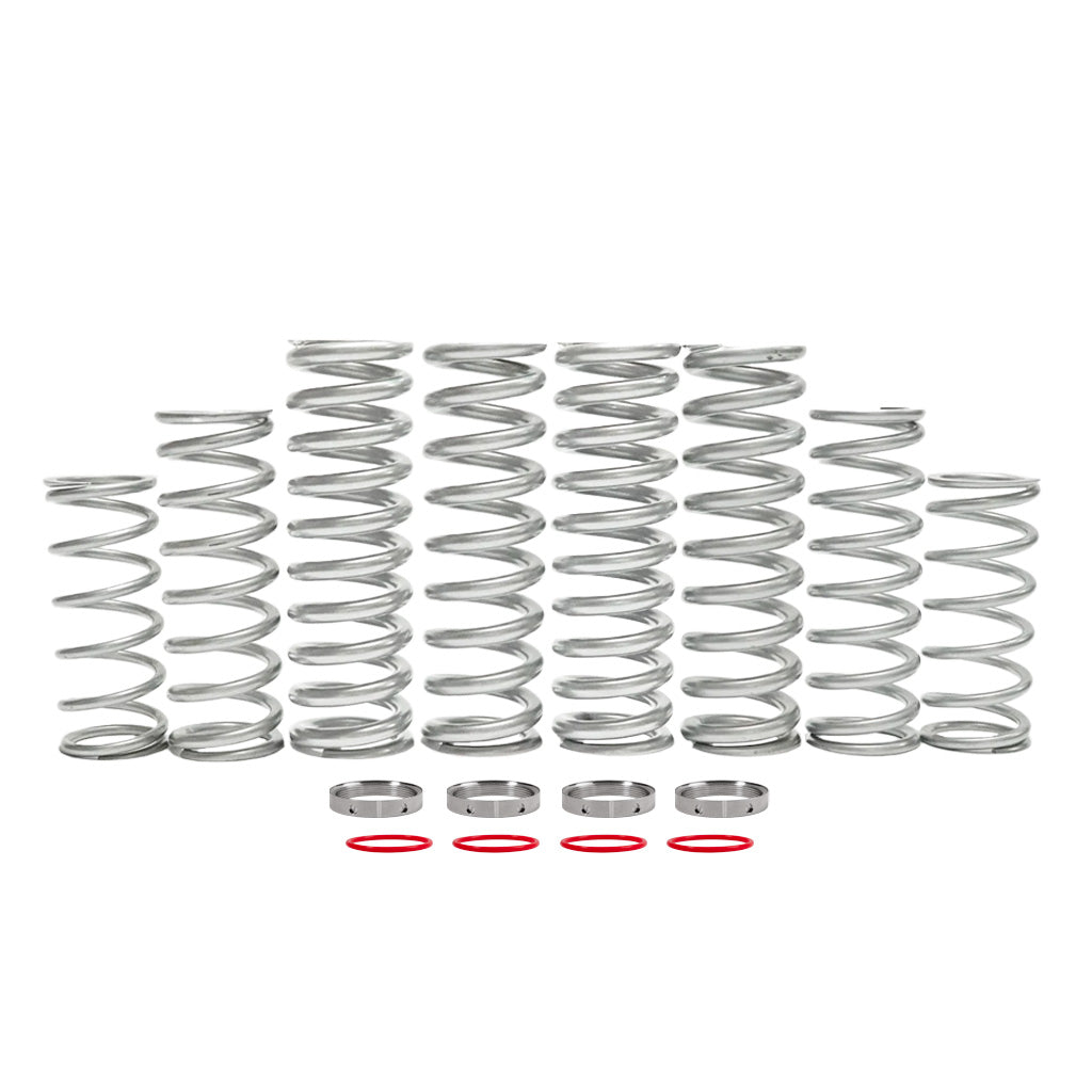 RZR XP S spring kit components