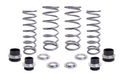 Polaris Ranger XD 1500 Spring Kit