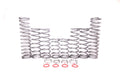 Polaris RZR RS1 Dual Rate Spring Kit