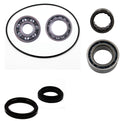 Arctic Cat 250 300 2X4 Rear differential bearing & seal kit