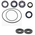 Arctic Cat 375 400 500 Rear Differential Bearing & Seal Kit  2000 - 2006