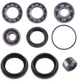 Arctic Cat Rear Differential Bearing & Seal Kit