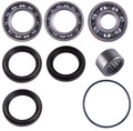 Arctic Cat Prowler HDX / XTX Rear Differential Bearing & Seal Kit