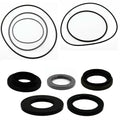 Suzuki Quadrunner 500 Rear Differential Seal Kit 1998 - 2000