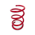 EVP High-Engagement P-Drive Red Primary Clutch Spring