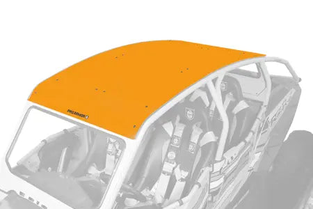 Asylum Aluminum Roof