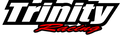 Trinity Racing CFMoto rear brake pads
