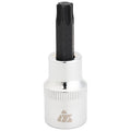 Tusk 3/8" Drive Torx Socket T40#SC39100308066