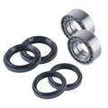 East Lake Axle Honda TRX420 front wheel bearing and seals
